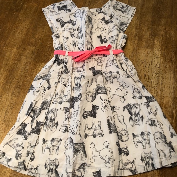 carters dresses 5t